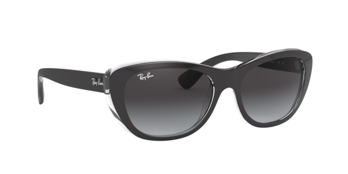 Ray-Ban Sunglasses RB4227 60528G