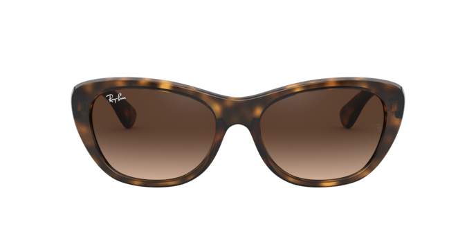 Ray-Ban Sunglasses RB4227 710/13