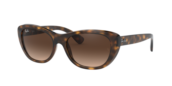Ray-Ban Sunglasses RB4227 710/13