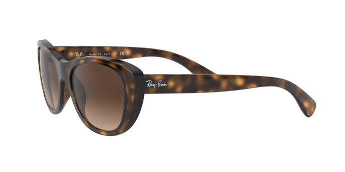 Ray-Ban Sunglasses RB4227 710/13