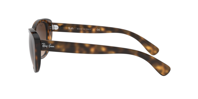 Ray-Ban Sunglasses RB4227 710/13