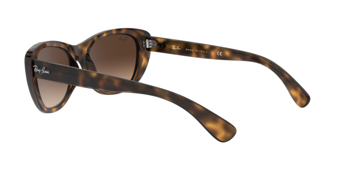 Ray-Ban Sunglasses RB4227 710/13