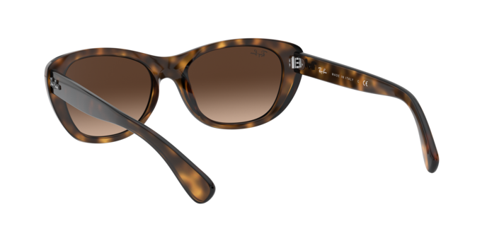Ray-Ban Sunglasses RB4227 710/13