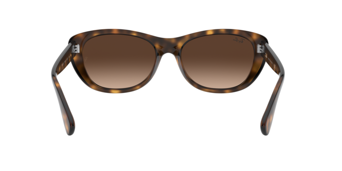 Ray-Ban Sunglasses RB4227 710/13