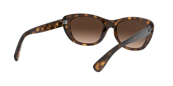 Ray-Ban Sunglasses RB4227 710/13