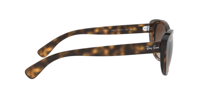 Ray-Ban Sunglasses RB4227 710/13