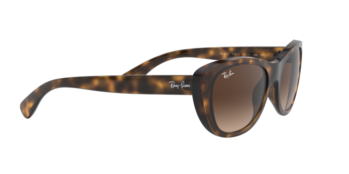 Ray-Ban Sunglasses RB4227 710/13