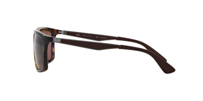 Ray-Ban Sunglasses RB4228 710/83