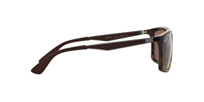 Ray-Ban Sunglasses RB4228 710/83