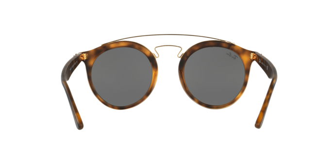 Ray-Ban New Gatsby I Sunglasses RB4256 60926G