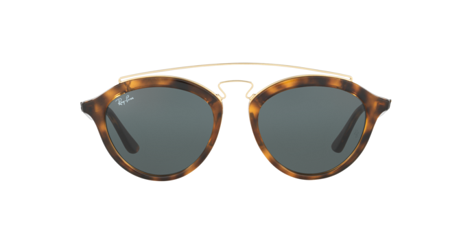 Ray-Ban New Gatsby Ii Sunglasses RB4257 710/71