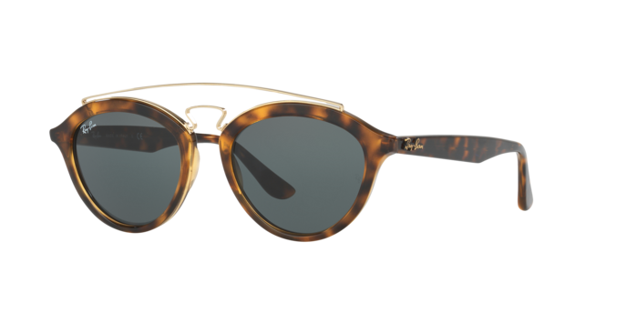 Ray-Ban New Gatsby Ii Sunglasses RB4257 710/71