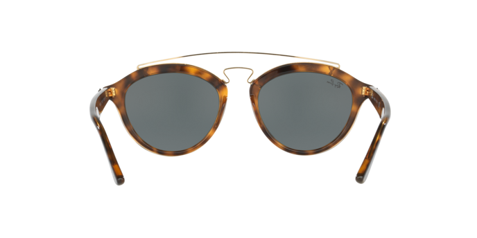 Ray-Ban New Gatsby Ii Sunglasses RB4257 710/71