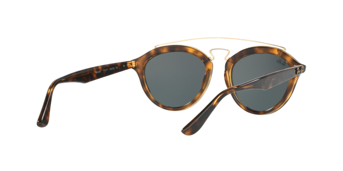 Ray-Ban New Gatsby Ii Sunglasses RB4257 710/71