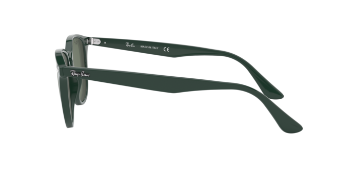 Ray-Ban Sunglasses RB4259 638571