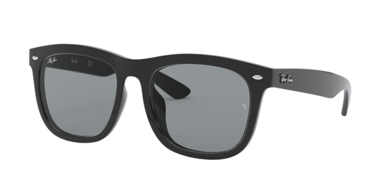 Ray-Ban Sunglasses RB4260D 601/1