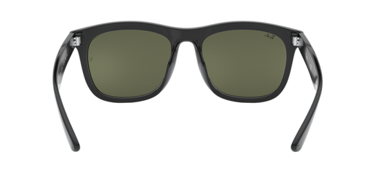 Ray-Ban Sunglasses RB4260D 601/30