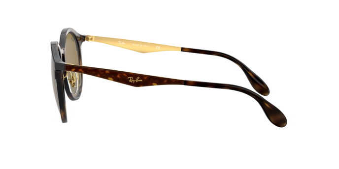 Ray-Ban Emma Sunglasses RB4277 628373