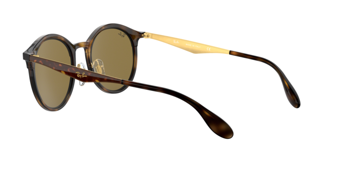 Ray-Ban Emma Sunglasses RB4277 628373