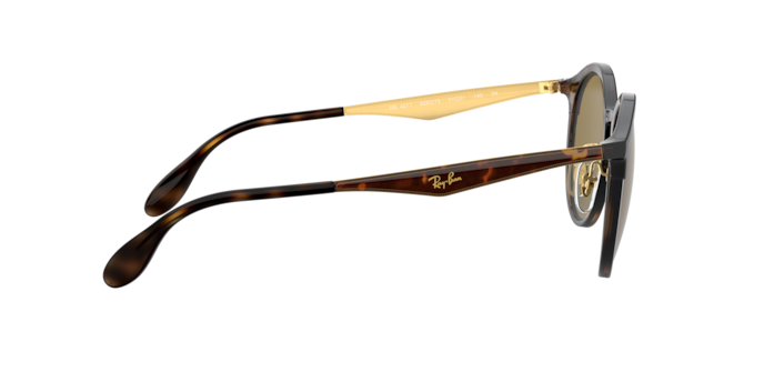 Ray-Ban Emma Sunglasses RB4277 628373