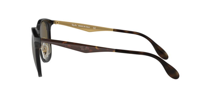 Ray-Ban Sunglasses RB4278 628373