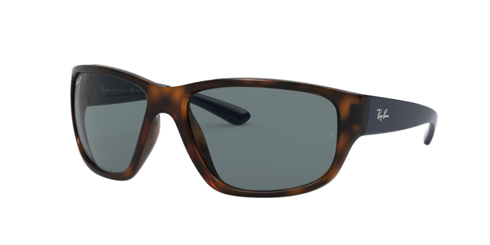 Ray-Ban Sunglasses RB4300 6433S2