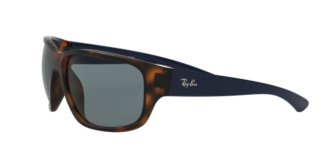 Ray-Ban Sunglasses RB4300 6433S2