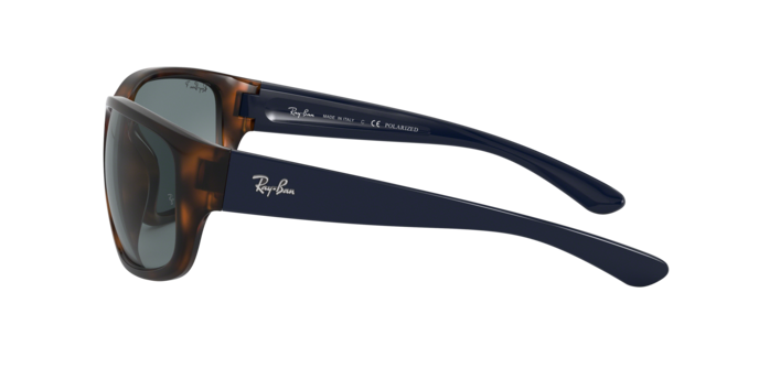 Ray-Ban Sunglasses RB4300 6433S2