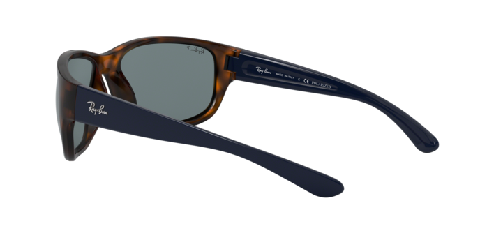 Ray-Ban Sunglasses RB4300 6433S2