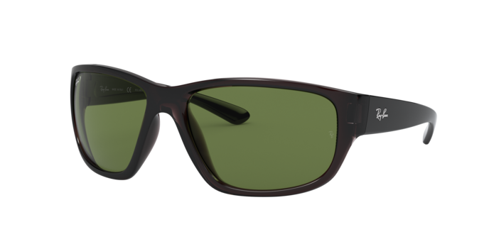 Ray-Ban Sunglasses RB4300 705/O9