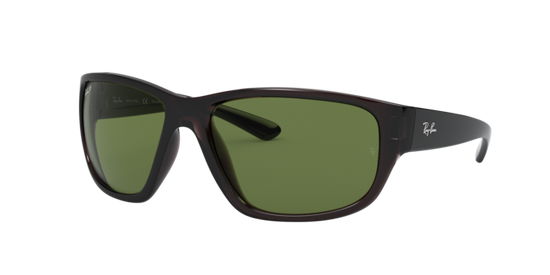 Ray-Ban Sunglasses RB4300 705/O9