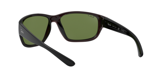 Ray-Ban Sunglasses RB4300 705/O9