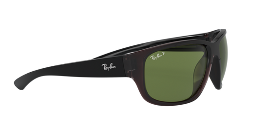 Ray-Ban Sunglasses RB4300 705/O9