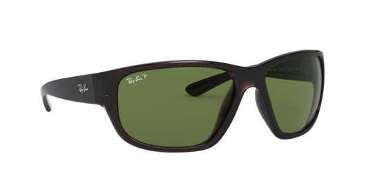 Ray-Ban Sunglasses RB4300 705/O9