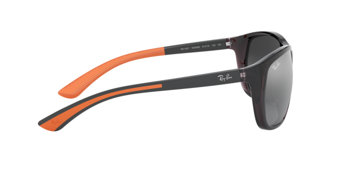 Ray-Ban Sunglasses RB4307 643988