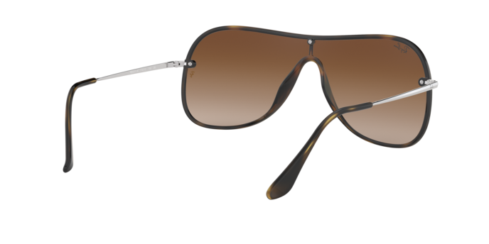 Ray-Ban Sunglasses RB4311N 710/13