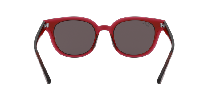 Ray-Ban Sunglasses RB4324 645193