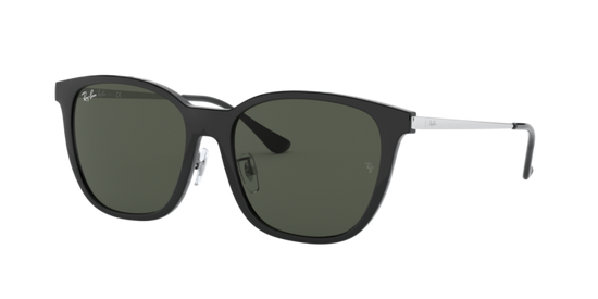 Ray-Ban Sunglasses RB4333D 629271