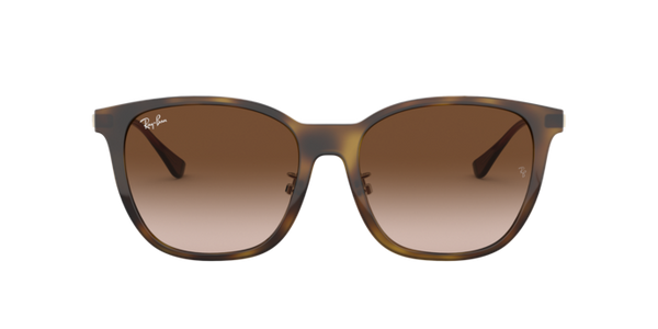 Ray-Ban's sunglasses are popular for a reason