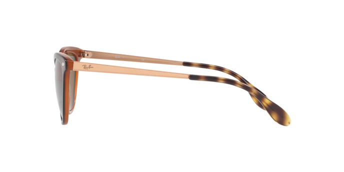 Ray-Ban Sunglasses RB4360 123373