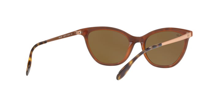 Ray-Ban Sunglasses RB4360 123373