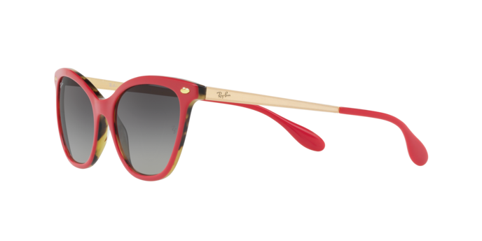 Ray-Ban Sunglasses RB4360 123411