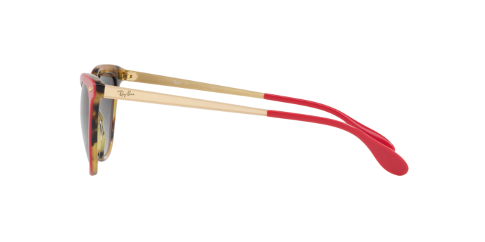 Ray-Ban Sunglasses RB4360 123411