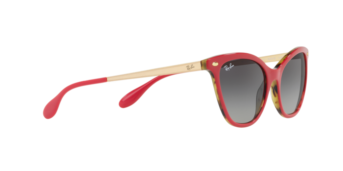 Ray-Ban Sunglasses RB4360 123411