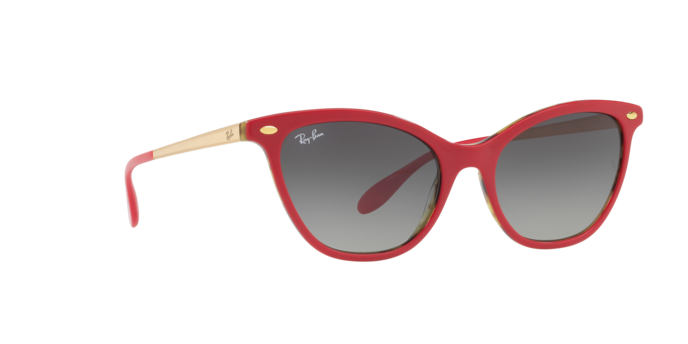 Ray-Ban Sunglasses RB4360 123411