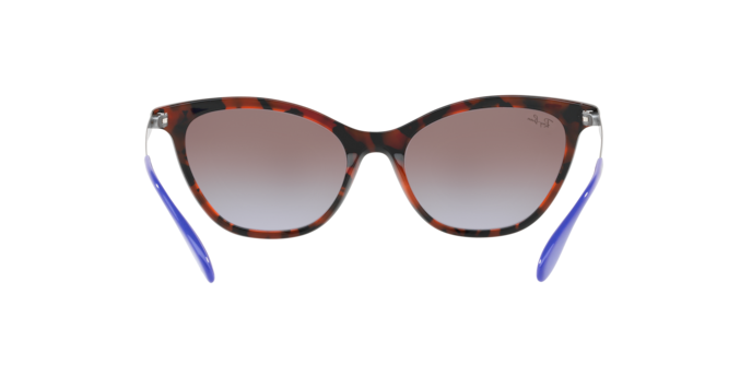 Ray-Ban Sunglasses RB4360 123668