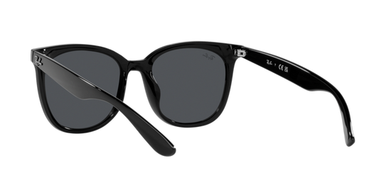 Ray-Ban Sunglasses RB4379D 601/87