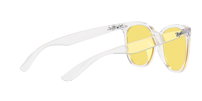 Ray-Ban Sunglasses RB4379D 644785