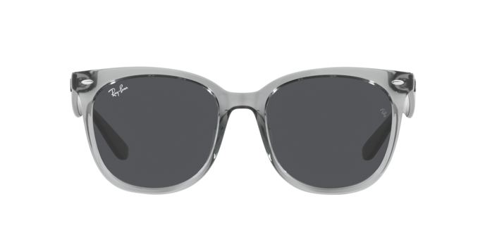 Ray-Ban Sunglasses RB4379D 659987