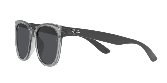 Ray-Ban Sunglasses RB4379D 659987